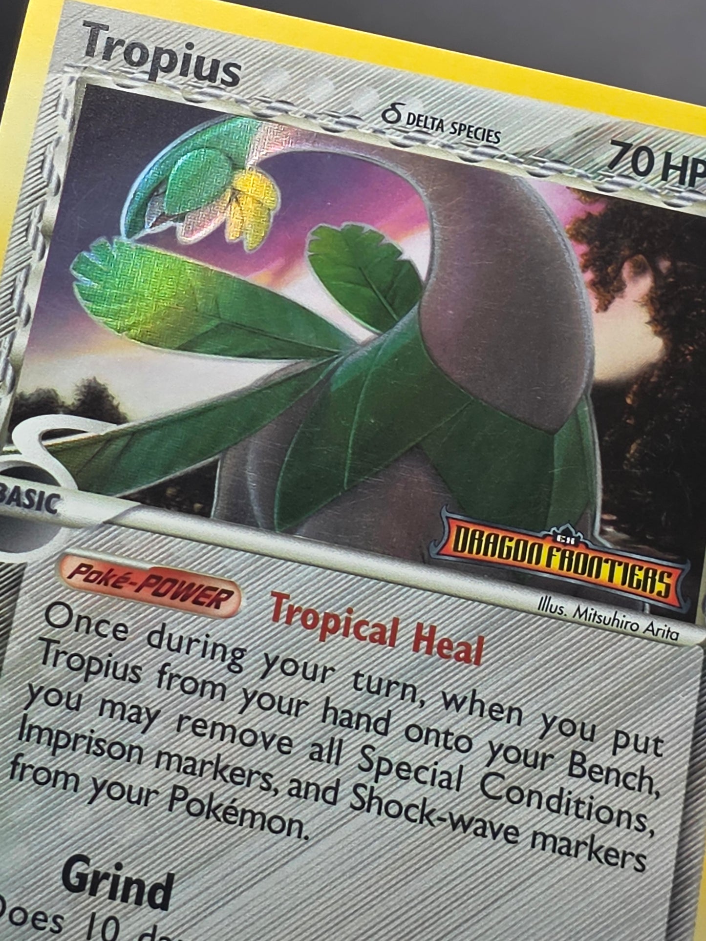 Tropius 23/101 Stamped Reverse Holo Rare EX Dragon Frontiers NM