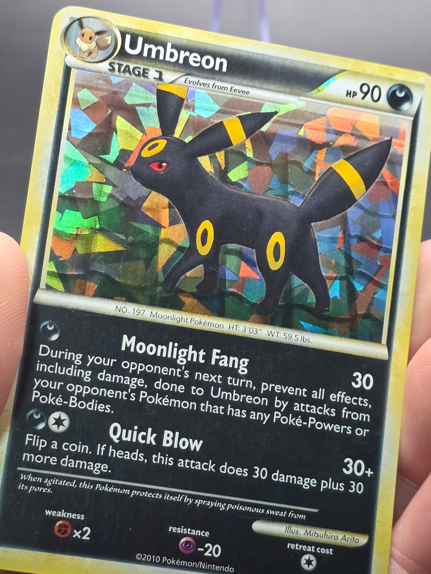Umbreon 10/90 Undaunted Cracked Ice Holo Rare Pokemon TCG LP