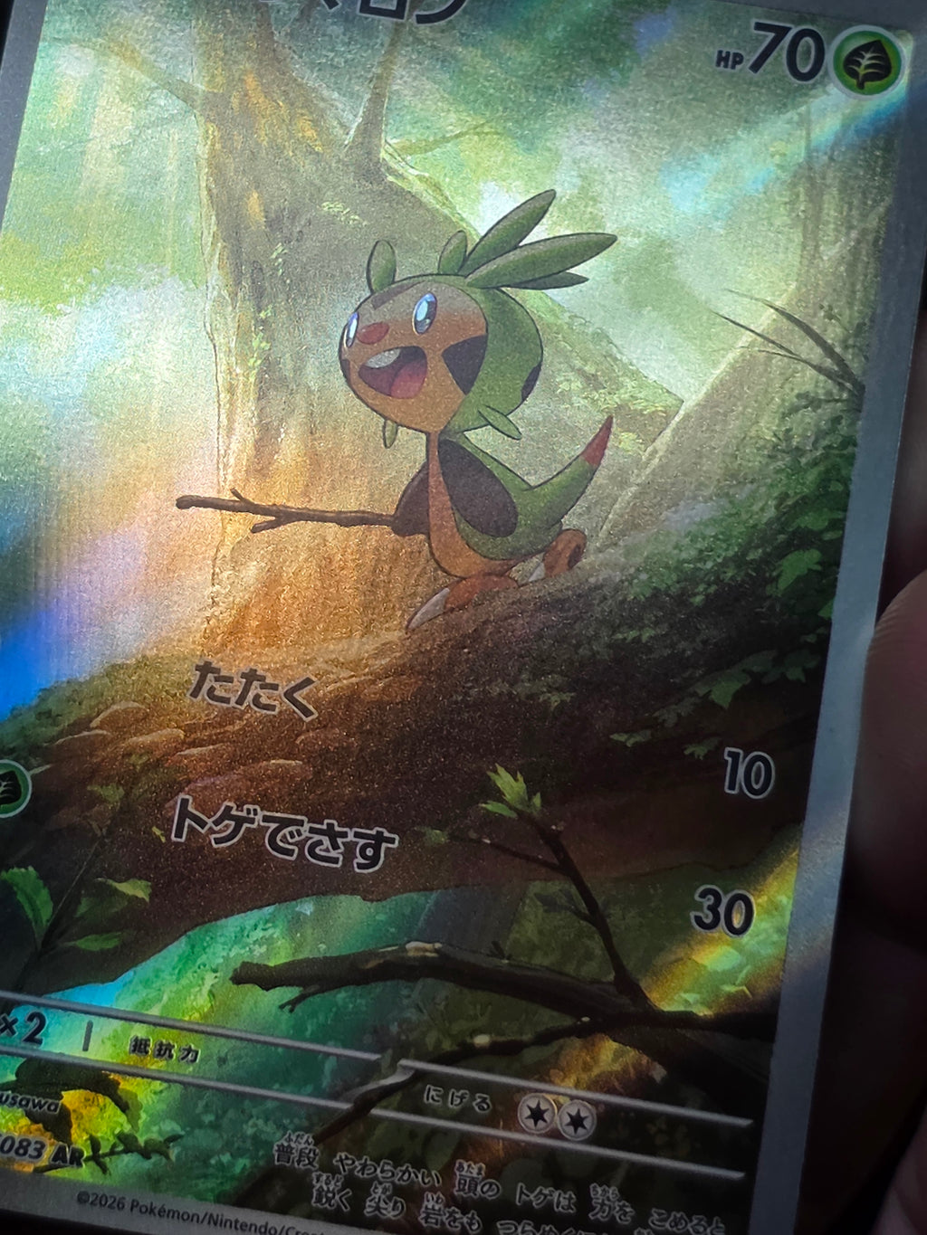 Chespin Ninja Spinner Art Rare 084/083