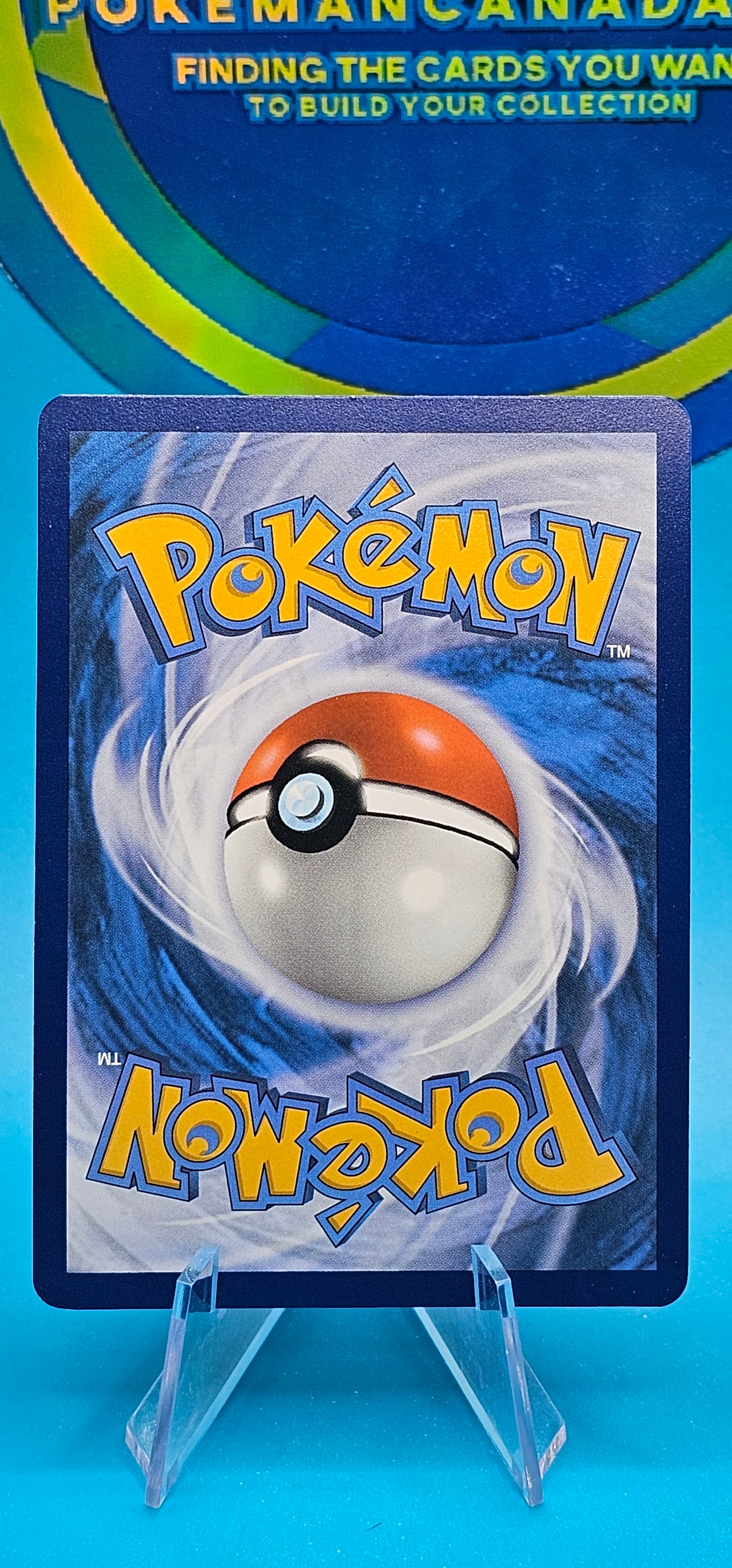NM Turtonator 146/142 Illustration Rare - Stellar Crown - Pokemon Card 123/189