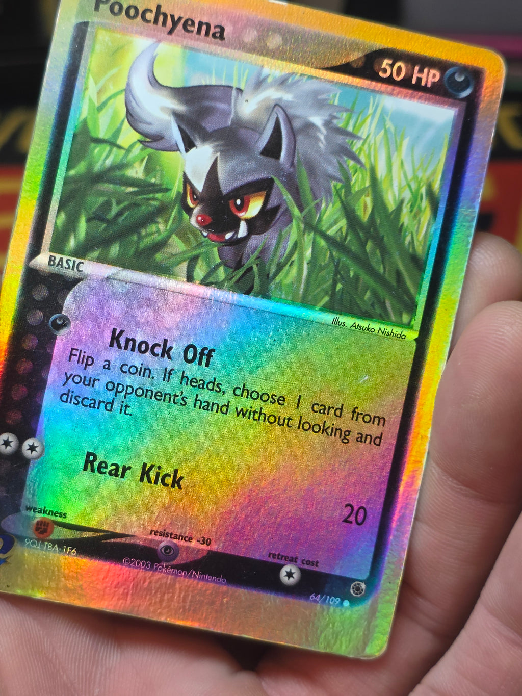 Poochyena NM 64/109 EX Ruby & Sapphire Reverse Holo Common