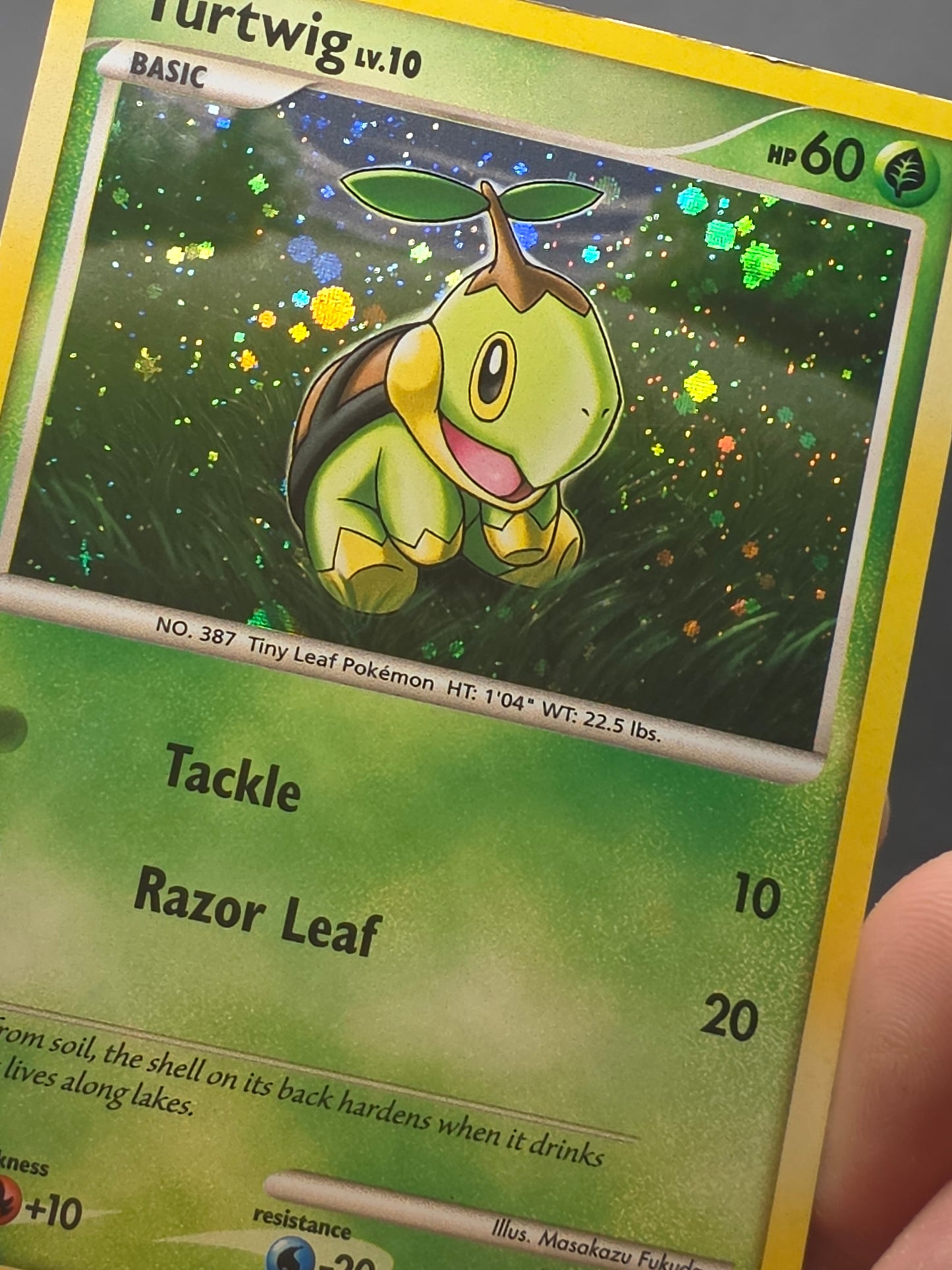 Turtwig Holo DP01 Diamond and Pearl Promos
