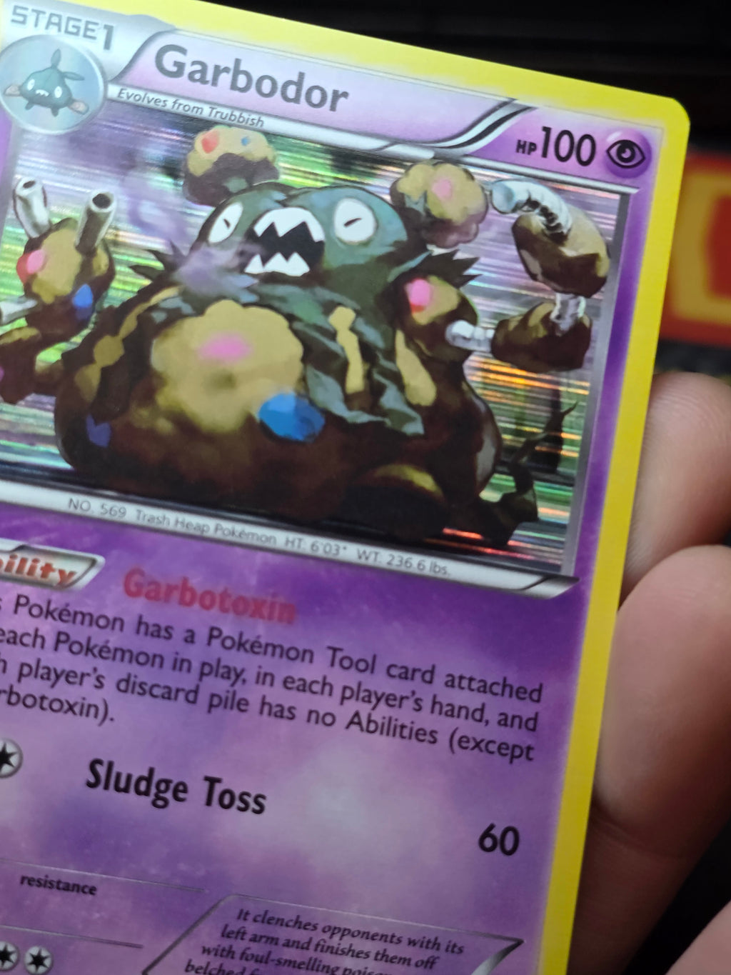 Garbodor 54/124 Holo Rare Dragons Exalted Pokemon