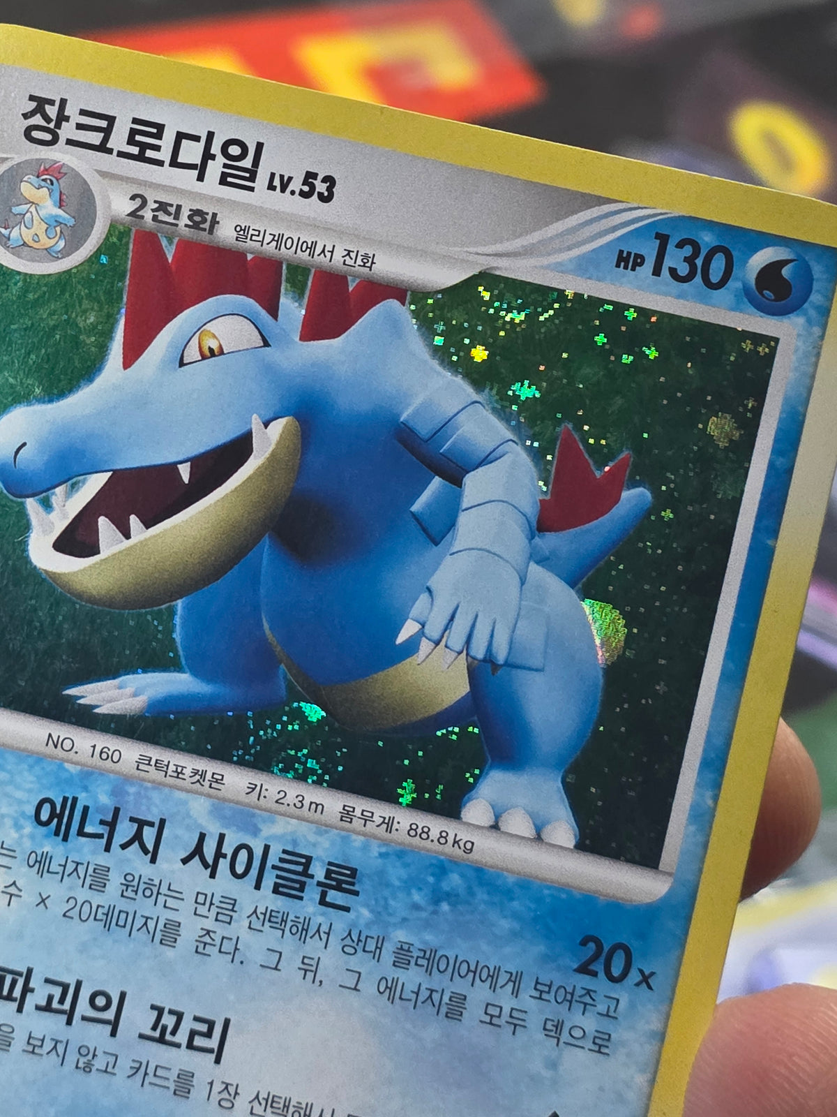 FERALIGATR HOLO KOREAN D&P 2010 POKEMON