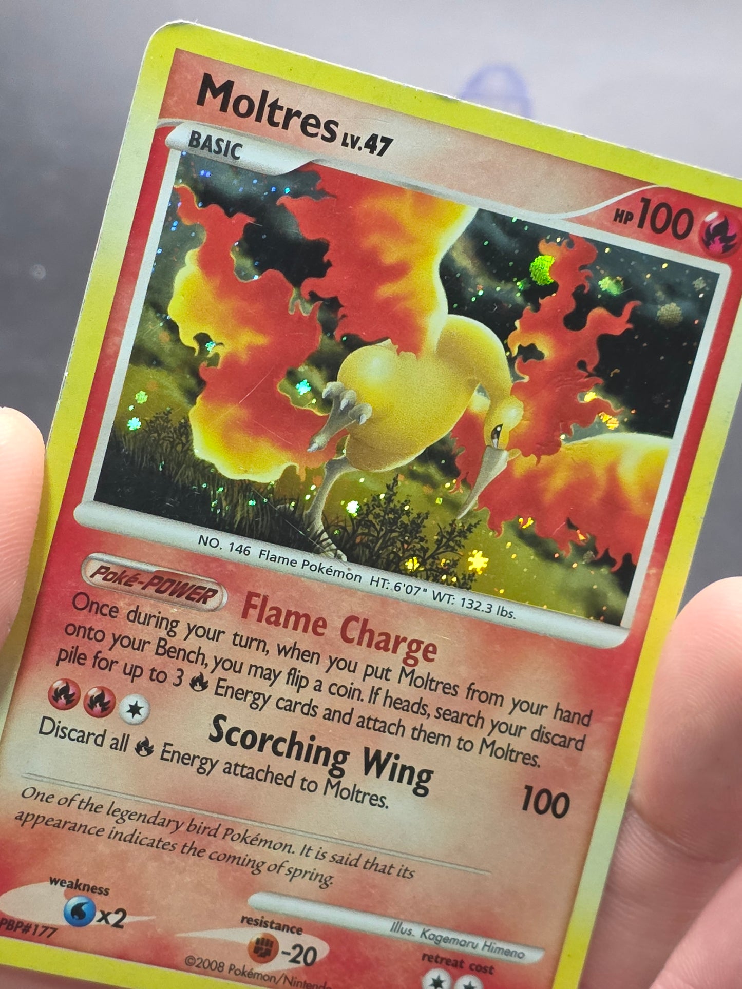 Moltres Holo Rare Pokémon Card TCG Majestic Dawn 2008 10/100 MP