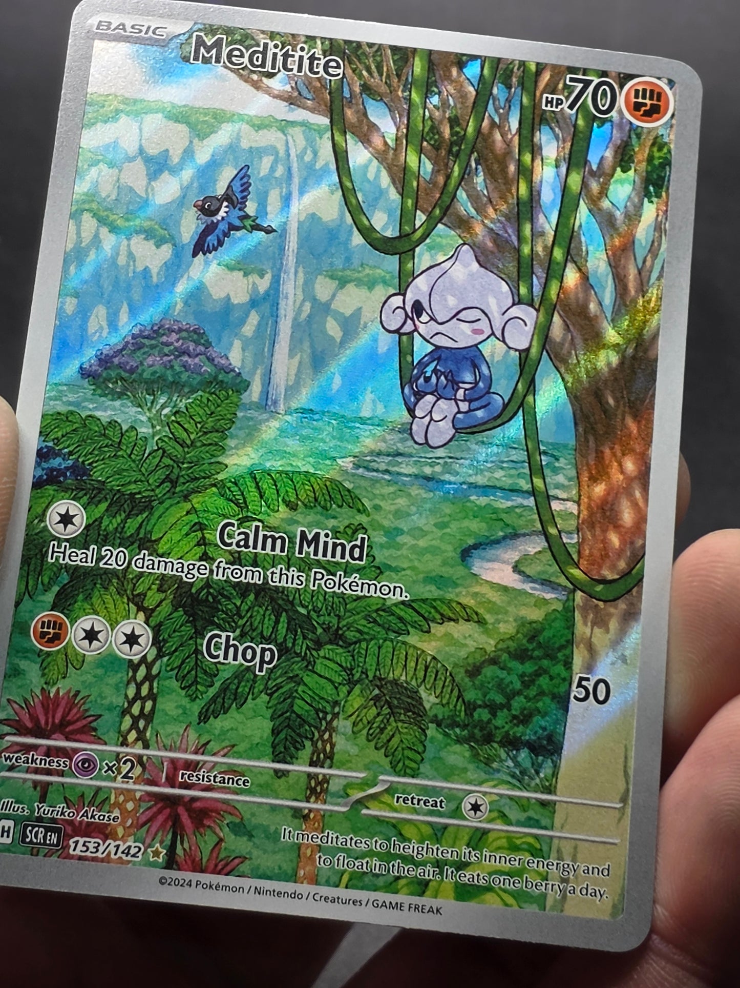 Meditite Illustration Rare Stellar Crown 153/142 NM