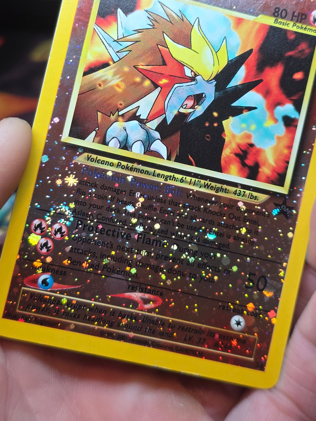Entei 34 Promo Wizards Black Star Promos