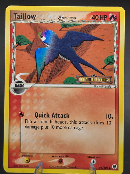 TAILLOW (DELTA SPECIES) - STAMPED REVERSE HOLO ex Dragon Frontiers 66/101 NM