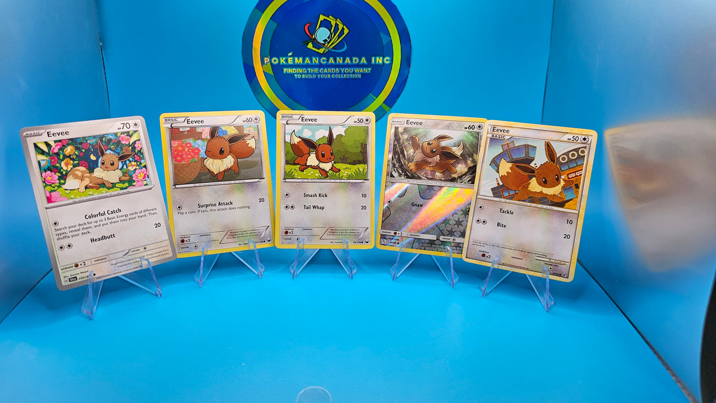EEVEE COMBO PACK