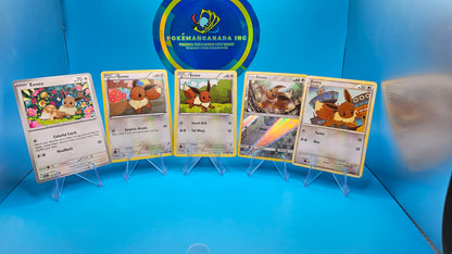EEVEE COMBO PACK