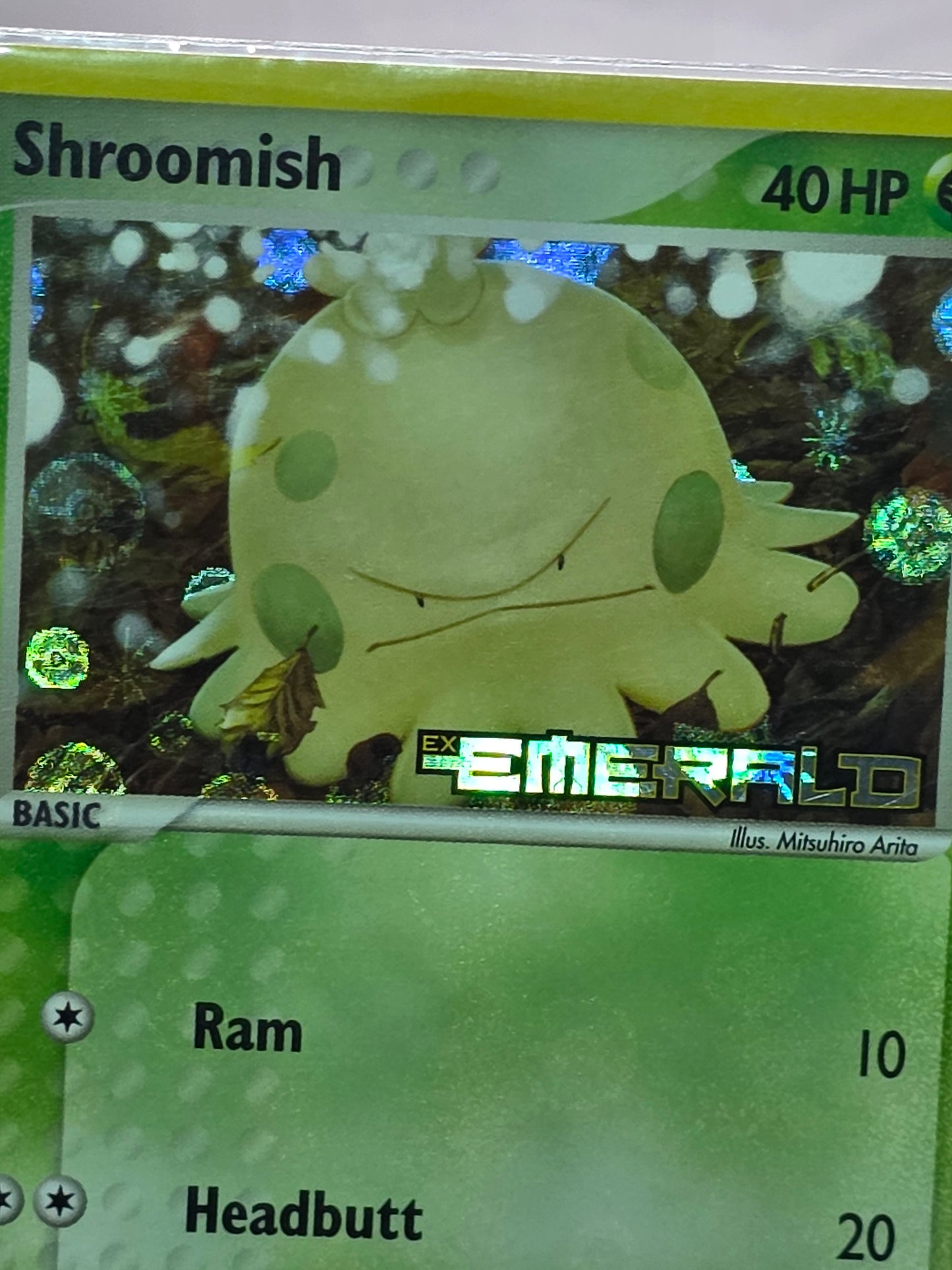 Shroomish Emerald Holo Stamped Promo 063/106 Pokemon LP