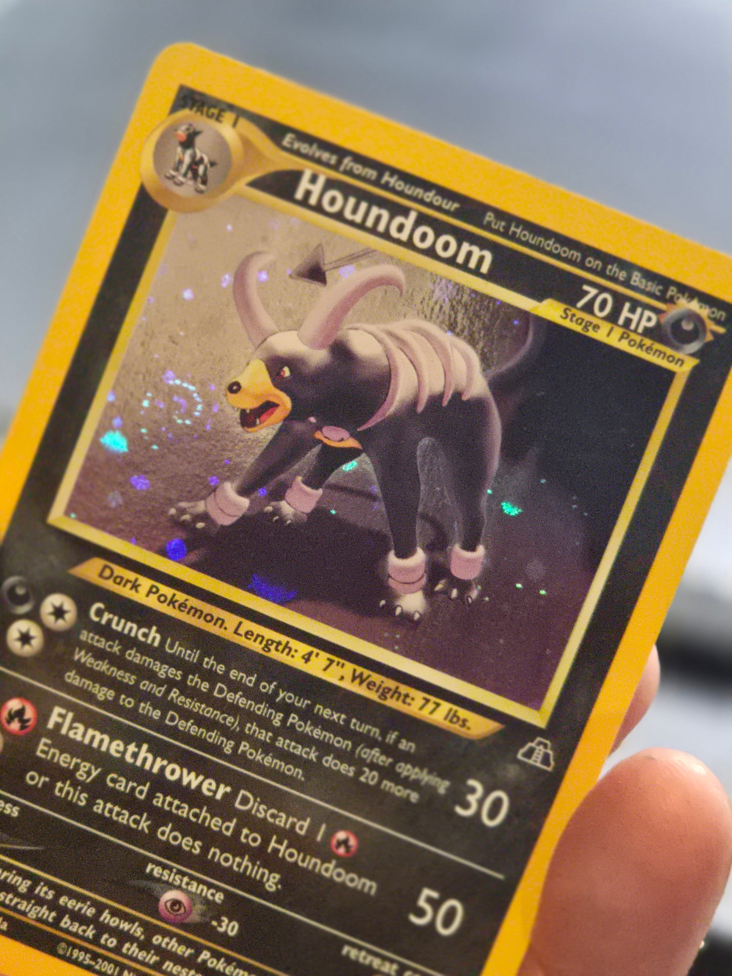 Houndoom - 4/75 - Pokemon Neo Discovery Unlimited Holo Rare Card WOTC NM