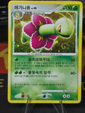 MEGANIUM HOLO RARE KOREAN D&P 03/60