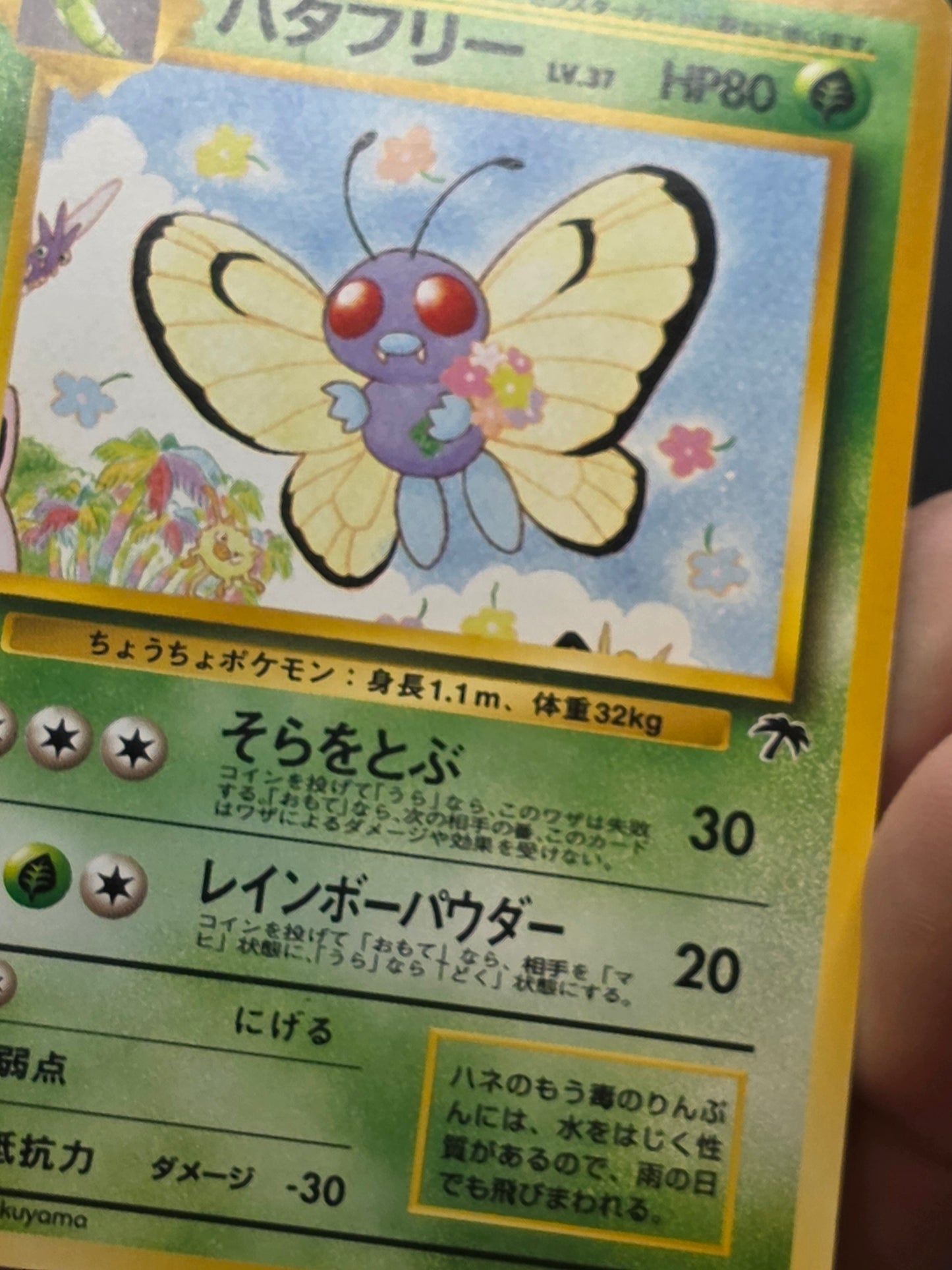 Butterfree LP Southern Island Pokemon TCG Regular Japanese