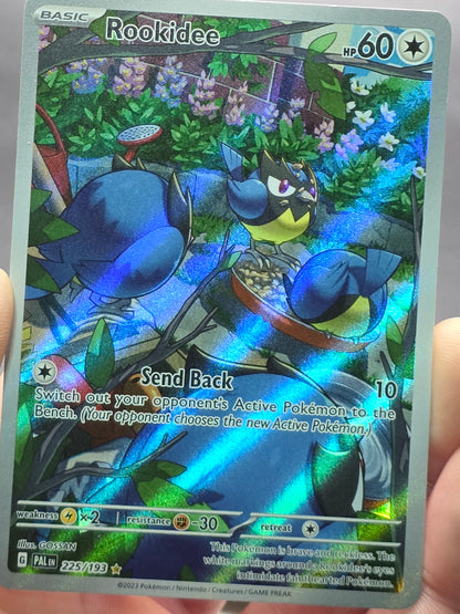 Rookidee - Illustration Rare SV02: Paldea Evolved 225/193 NM
