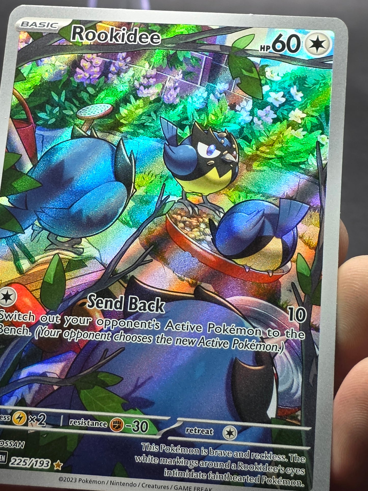 Rookidee - Illustration Rare SV02: Paldea Evolved 225/193 NM