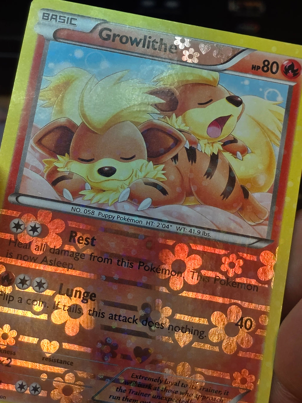 Growlithe Uncommon Holo Legendary Treasures: Radiant Collection RC4/RC25 LP