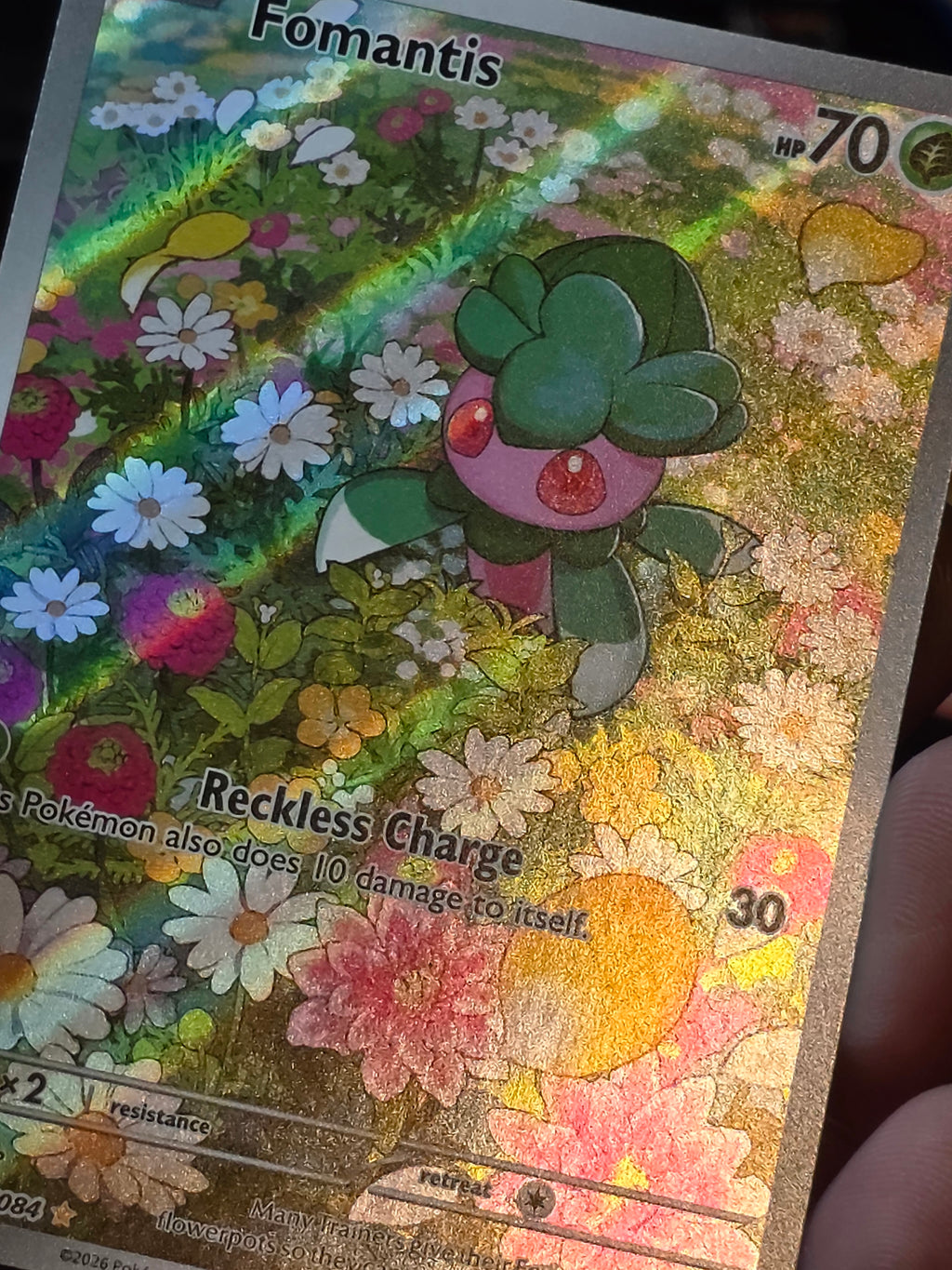 Fomantis 085/084 Illustration Rare- Pitch Black Pokemon TCG Near Mint