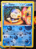 Piplup RC6/RC25 Legendary Treasures: Radiant Collection Holo