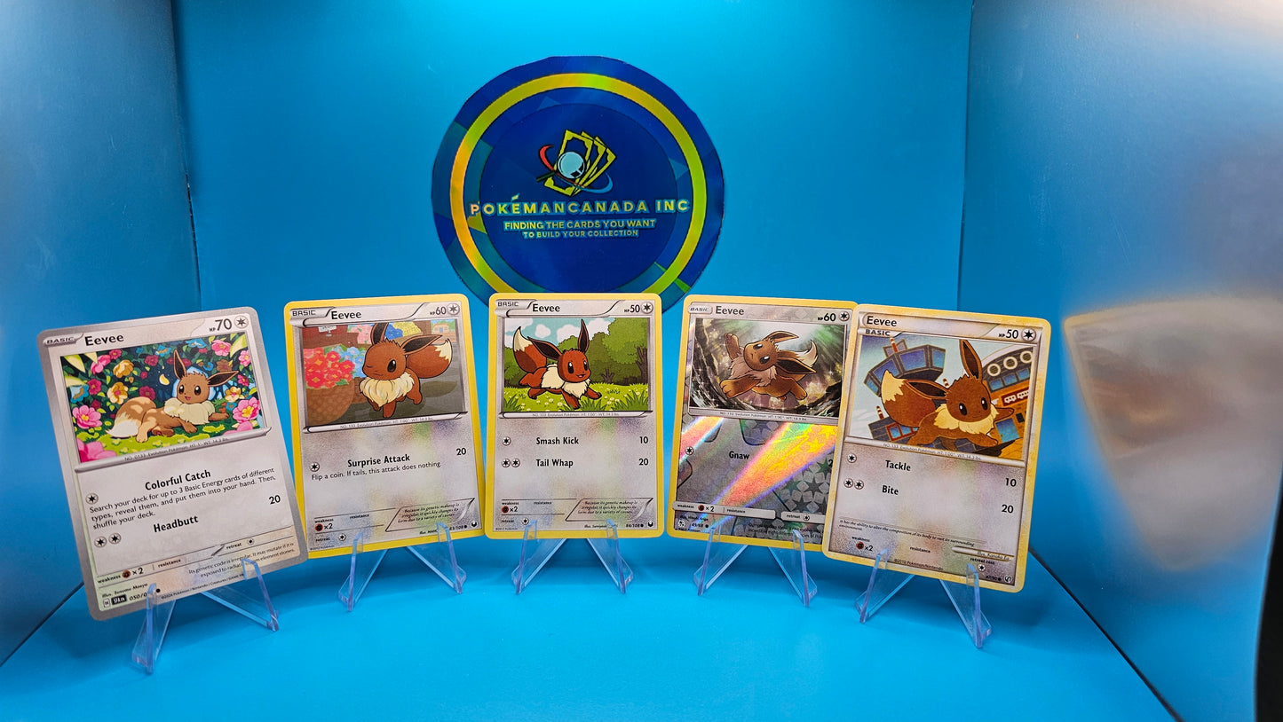 EEVEE COMBO PACK