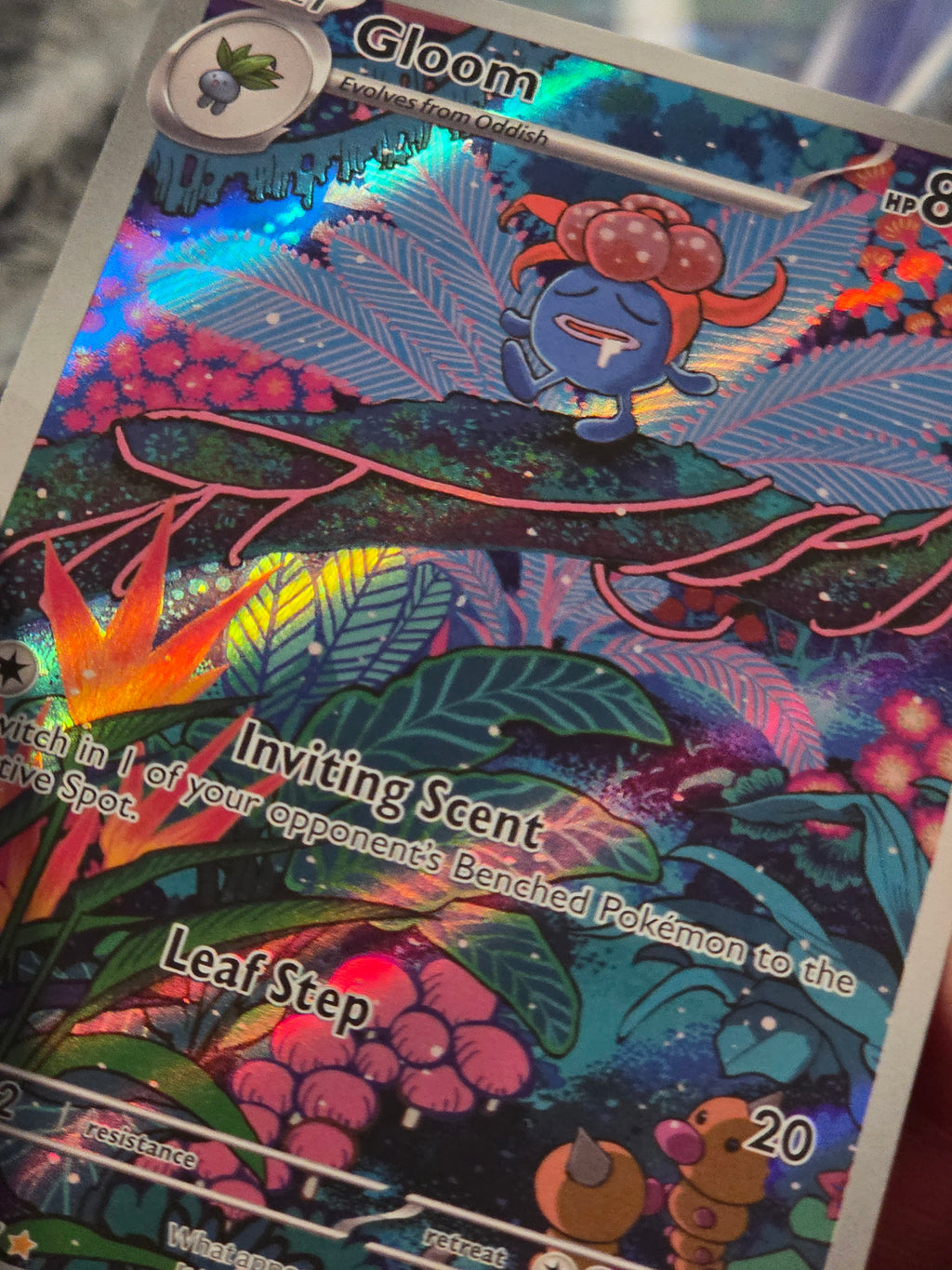 Gloom 198/197 SV03: Obsidian Flames Holo Pokémon TCG