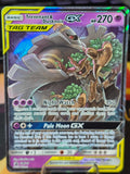 Trevenant & Dusknoir GX Sun & Moon Promo Promo SM217