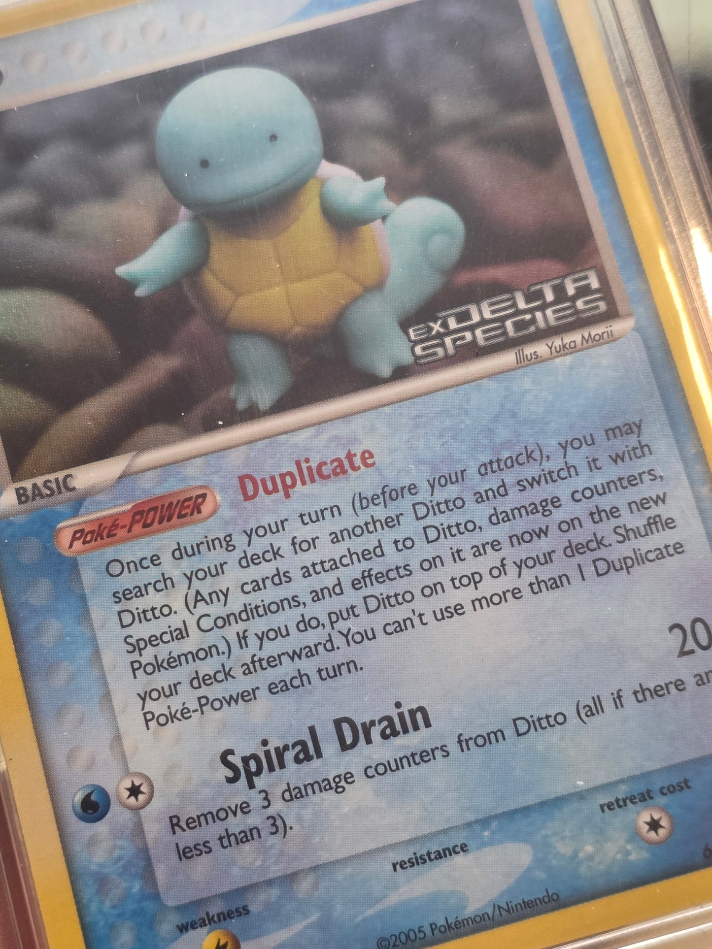 Ditto Squirtle Delta Stamped Reverse Holo Rare NM/LP