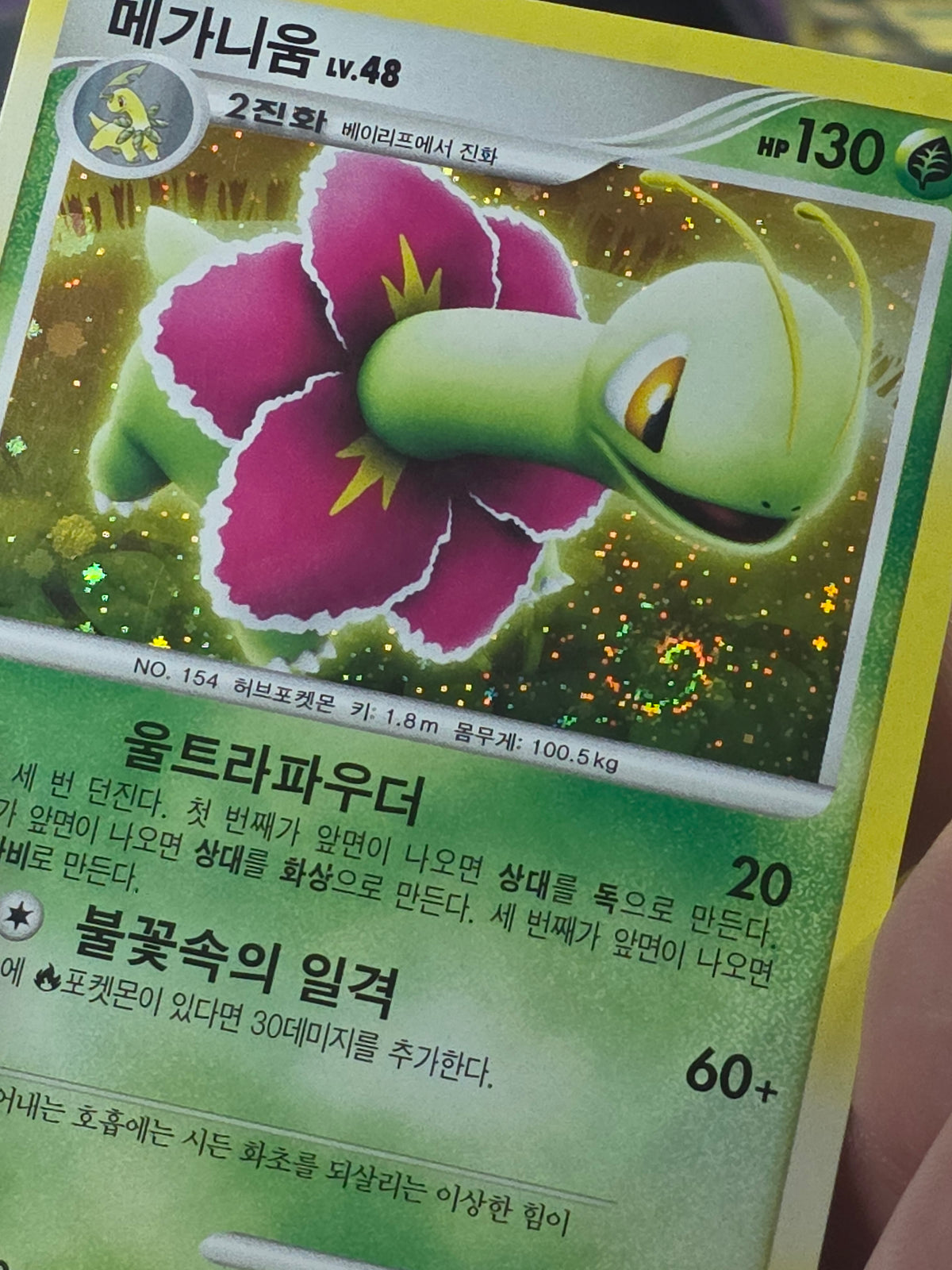 MEGANIUM HOLO RARE KOREAN D&P 03/60