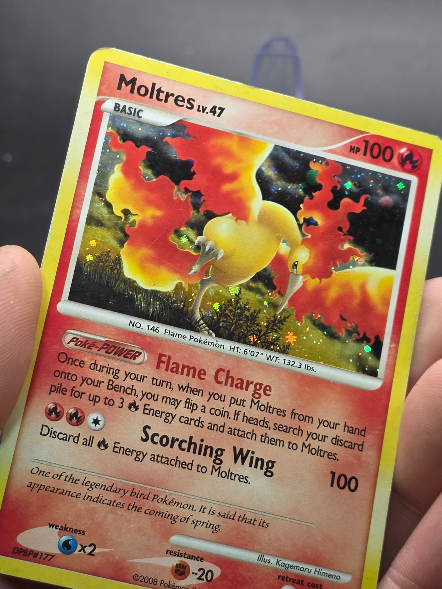 Moltres Holo Rare Pokémon Card TCG Majestic Dawn 2008 10/100 MP