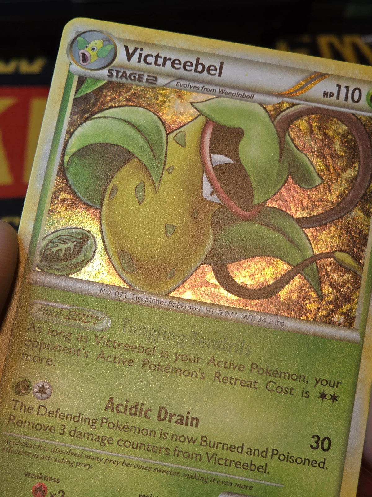 Victreebel 12/102 Triumphant Holo Rare Holofoil